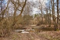 Early spring forest. Dirt rural road. Bridge flooded by overflow river. March spring day. Calm weather. Season change. Village Royalty Free Stock Photo