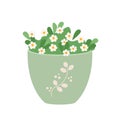 Early spring garden flowers in cute pots. Floral vector design elements for Happy women's day March 8. Blooming Royalty Free Stock Photo