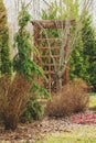 Early spring garden view. Wooden pergola with shrubs