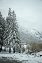 Early spring in Gavarnie, France Royalty Free Stock Photo