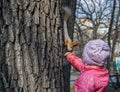 Early spring. The girl reached out her hand with the nut and the squirrel descended the tree behind him.