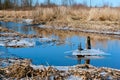 Early spring, the ice comes off the lakes, ice in the spring in the river, melted ice descended from the lake Royalty Free Stock Photo