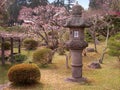 Early spring Japanese garden