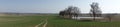 Panoramic landscape with a tree-lined road south of Olsztyn, Poland