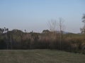 Early spring landscape at Lusatian mountains, with grass meadow, bare trees, deciduous and spruce tree forest, hills