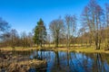 Early spring landscape of European forest and water ponds in Konstancin-Jeziorna Springs Park - Park Zdrojowy w Konstancinie