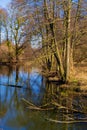 Early spring landscape of mixed forest and water ponds in Konstancin-Jeziorna Springs Park - near Warsaw