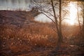 Early spring landscape