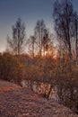 Early spring landscape