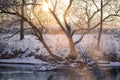 Early spring. Landscape of river and woodland on froze morning Royalty Free Stock Photo