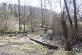 Early spring landscape with a small wild river, bare trees, reflections in the water, dry grass on the banks of the Royalty Free Stock Photo