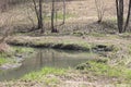 Early spring landscape with a small wild river, bare trees, reflections in the water, dry grass on the banks of the Royalty Free Stock Photo