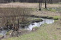 Early spring landscape with a small wild river, bare trees, reflections in the water, dry grass on the banks of the Royalty Free Stock Photo