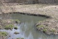 Early spring landscape with a small wild river, bare trees, reflections in the water, dry grass on the banks of the Royalty Free Stock Photo