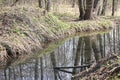 Early spring landscape with a small wild river, bare trees, reflections in the water, dry grass on the banks of the Royalty Free Stock Photo