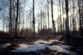 Early spring landscape of the snow Royalty Free Stock Photo