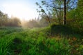 Early Spring morning meadow Royalty Free Stock Photo