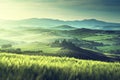 Early spring morning in Tuscany, Italy Royalty Free Stock Photo