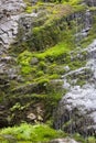 Early spring mossy forest rock waterfall