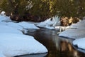 Early Spring in Northern Minnesota and Cascade River showing thru ice and snow Royalty Free Stock Photo