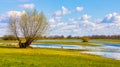 Biebrza river valley wetlands and nature reserve landscape in Burzyn village in Poland Royalty Free Stock Photo