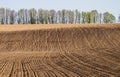 Early spring. Plowed field on a hillside on the background of a row of trees. Royalty Free Stock Photo