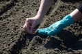 Early Spring in Poland - planting seeds Royalty Free Stock Photo