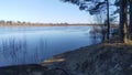 In early spring, the river has a fast current and a lot of water, which flooded the coastal bushes. On the sandy banks are pine an