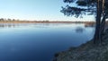 In early spring, the river has a fast current and a lot of water, which flooded the coastal bushes. On the sandy banks are pine an