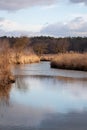 Early spring river in the light Royalty Free Stock Photo