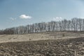 Early spring rural landskype. Undulating plowed field in early spring, a group of trees on the horizon, white clouds in the blue