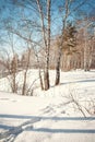 Tranquil Landscape with Snowdrift on Foreground and Trees and Sky Scenery on Background