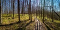 Spring in the Thayatal National Park in Lower Austria Royalty Free Stock Photo