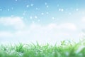 In the early spring transition, green grass emerges through melting snow under a blue sky Royalty Free Stock Photo