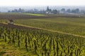 Early spring vineyards near Aloxe-Corton, Burgundy, France