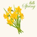 Early spring yellow narcissus and garden flowers symbols isolated on white set. Elements Illustration of nature flower Royalty Free Stock Photo