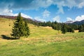 Early springtime countryside in mountains Royalty Free Stock Photo