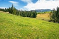 Early springtime countryside in mountains Royalty Free Stock Photo