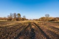 Early springtime meadow with forest around and clear sky above in CHKO Poodri in Czech republic