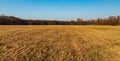 Early springtime meadow with forest around and clear sky