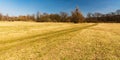 Early springtime meadow with trees around and clear sky in CHKO Poodri in Czech republic