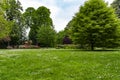 Early springtime morning at a beautiful park with plenty of greens