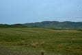 Qinghai Lake scenery along the way Royalty Free Stock Photo