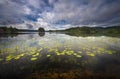 Early summer landscape from Jonsvatnet lake near Trondheim, Norway Royalty Free Stock Photo