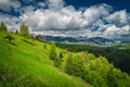 Early summer landscape with snowy mountains and green forest, Romania Royalty Free Stock Photo