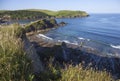 Early summer morning at Hope Cove, Devon, England Royalty Free Stock Photo