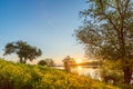 Early summer morning on a large lake surrounded by beautiful wide willows. Green grass covered with dew at sunrise. Beautiful Royalty Free Stock Photo