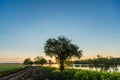 Early summer morning on a large lake surrounded by beautiful wide willows. Green grass covered with dew at sunrise. Beautiful Royalty Free Stock Photo