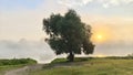 On an early summer morning, the sun rising over the forest on the far side of the river breaks through the clouds of mist billowin Royalty Free Stock Photo