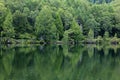 Shiga Highlands - Early morning view of Kido Pond in summer. Royalty Free Stock Photo